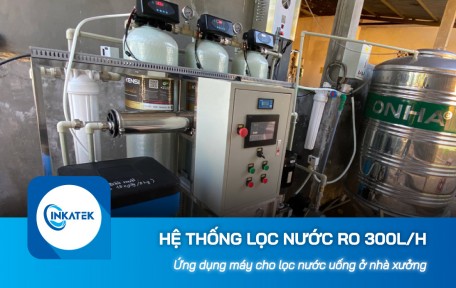 Hệ thống lọc nước công nghiệp RO 300L/h lọc nước uống cho nhà xưởng 