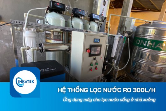 Hệ thống lọc nước công nghiệp RO 300L/h lọc nước uống cho nhà xưởng 