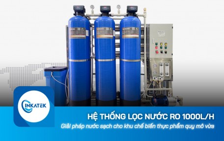 Hệ thống lọc nước công nghiệp RO 1000L/h cho khu chế biến thực phẩm quy mô vừa
